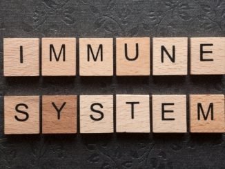 Study centers too much immune lead to autoimmune disease and little lead to infection