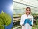 Scientists make use of computers to understand C4 photosynthesis during COVID