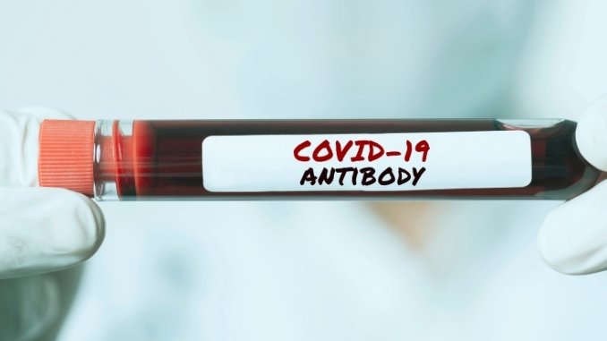 Covid-19 antibodies found in 16 pc people of Karnataka