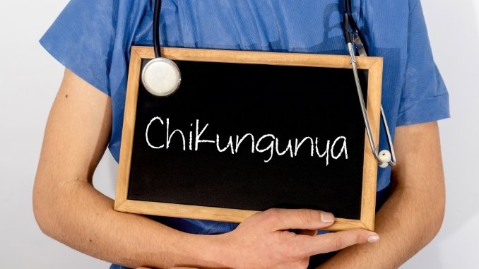 Chikungunya may affect the central nervous system as well as joints and lungs