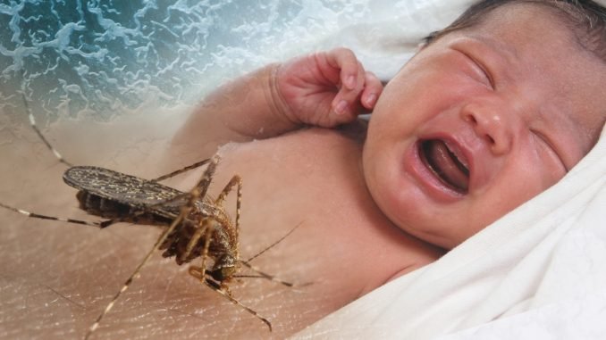 Zika virus affects eye development of infant-Vigorcolumn