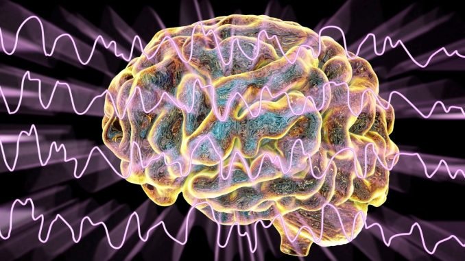 How the brain paralysis you while you sleep :Study