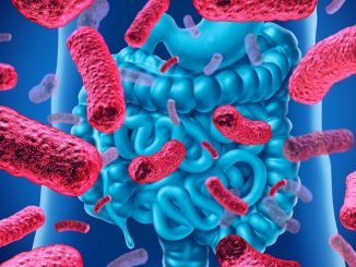 New method uses Artificial Intelligence to map Human Intestinal Bacteria