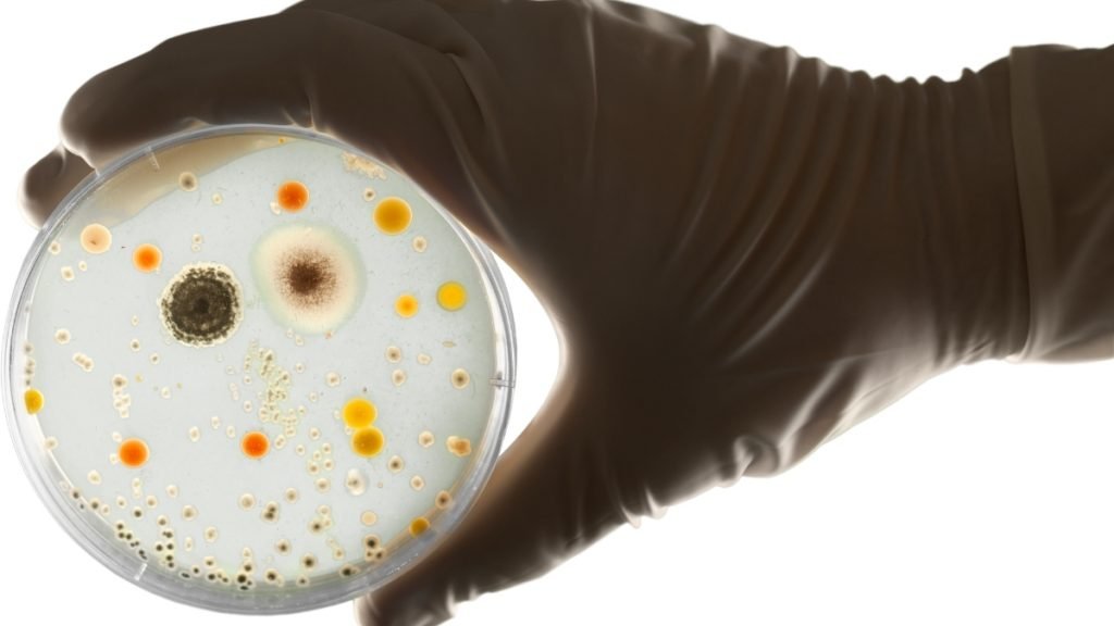 Study reveals breakthrough in understanding 'tummy bug' bacteria