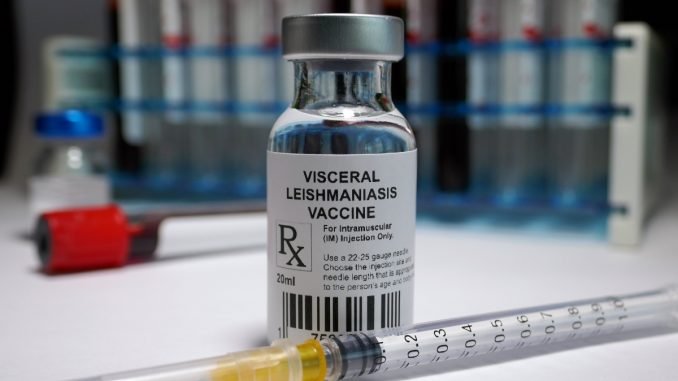 Scientists reach new milestone in vaccine development for leishmaniasis