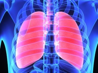 Study of lung function sheds light on ventilator-induced lung injuries