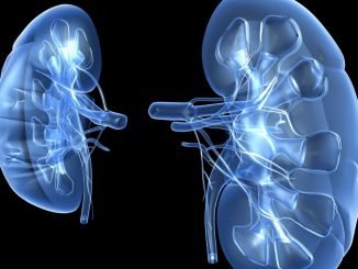 First-degree relative with kidney disease increases risk by three-fold
