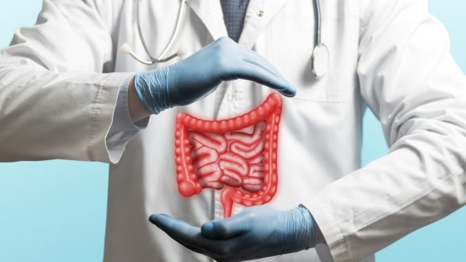 Scientists switch on tissue repair in inflammatory bowel disease