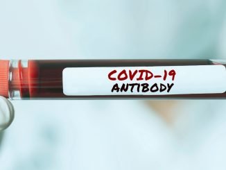 COVID antibodies are transferred from pregnant women to their babies - Vigor Column