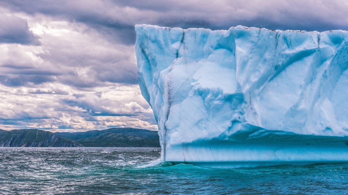 World's largest iceberg breaks off Antarctica Vigor Column