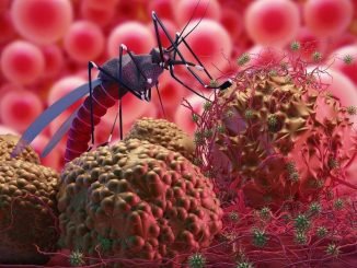 Resurgence of Multi Drug Resistant Malaria can wreak havoc in South Asia and Africa 8pSBCe